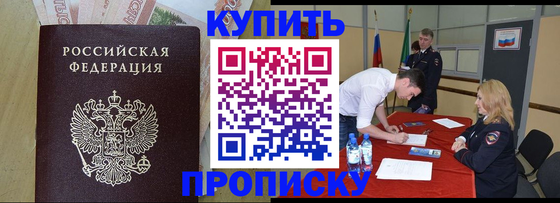 прописка 2025 в Кольчугино